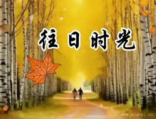 往日时光