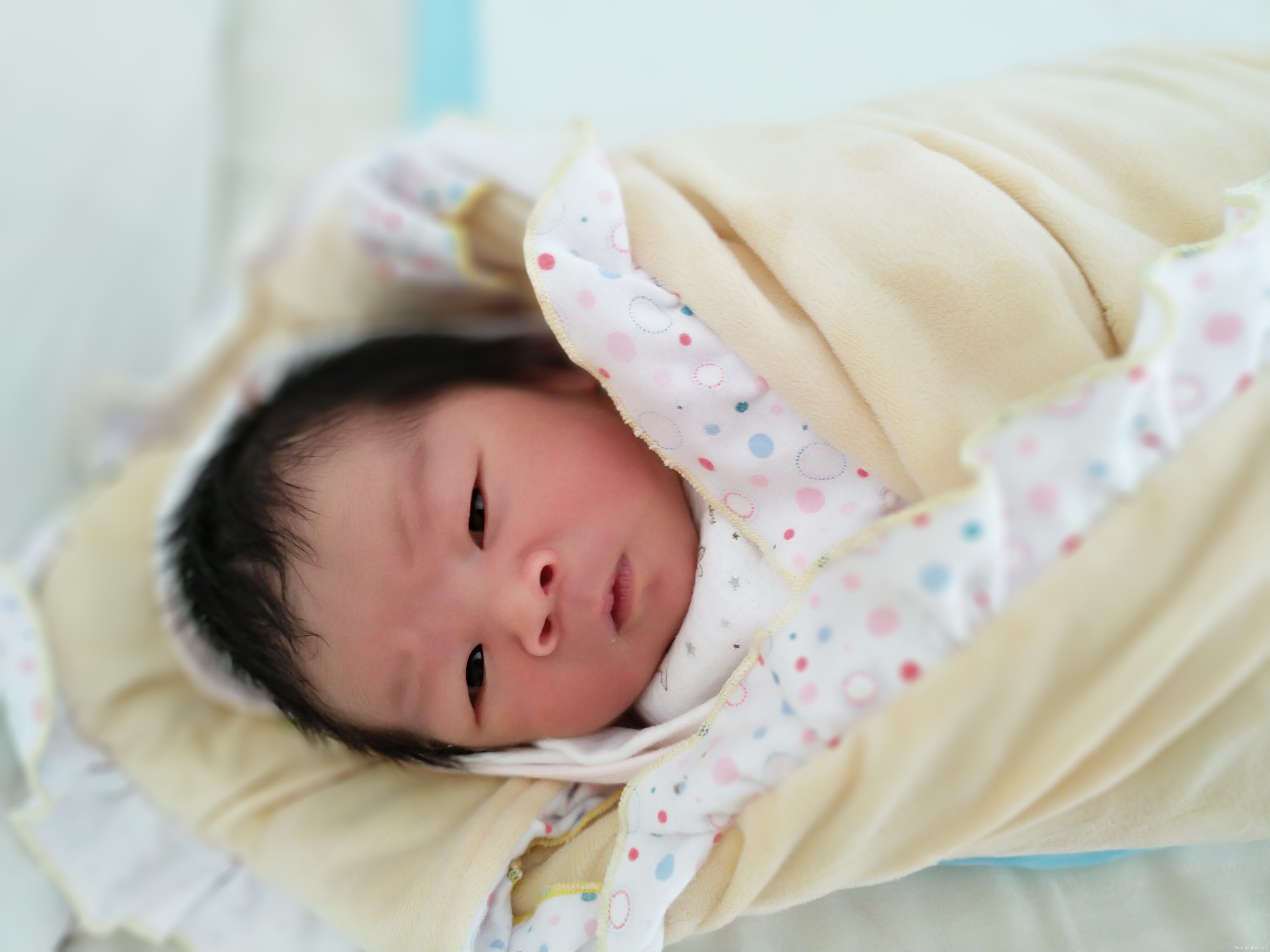 儿子相册